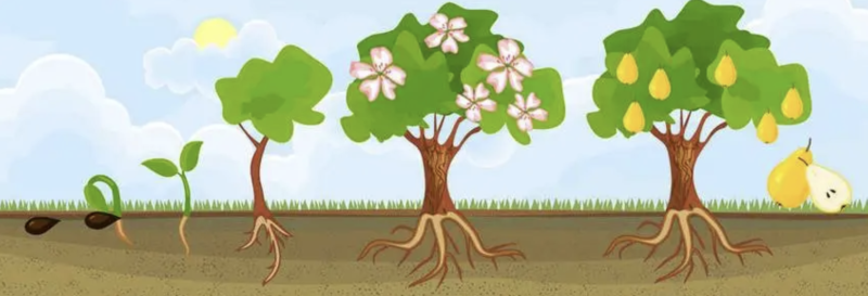 诚觅面向C端的机器人供应商-新通供应链论坛